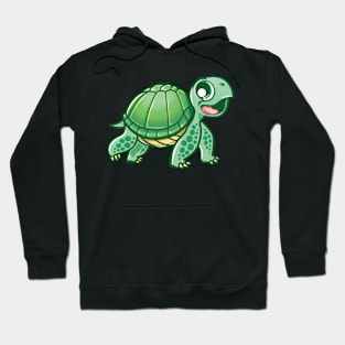 Turtle Hoodie